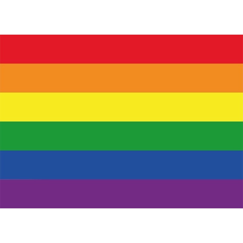 10x Regenboog vlag-LGBT vlag sticker 7.5 x 10 cm