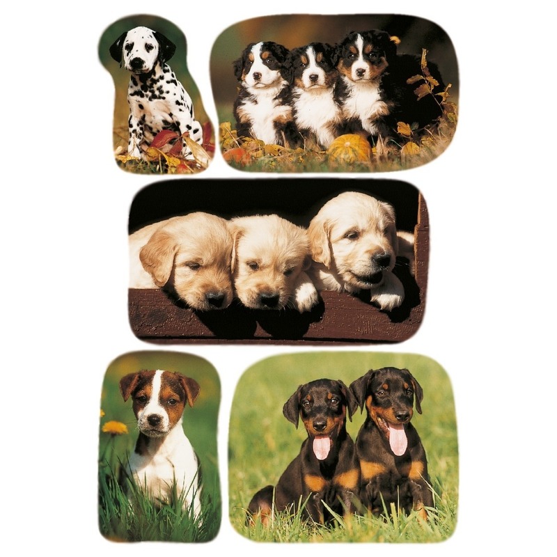 15x Honden/puppy dieren stickers