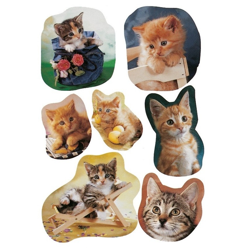63x Katten/poezen dieren stickers