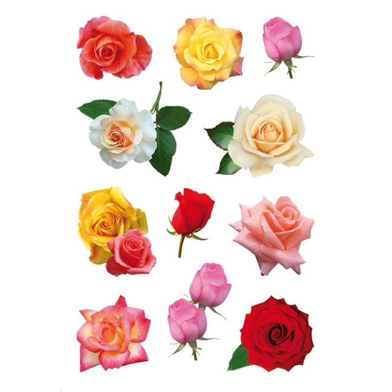 99x Gekleurde rozen bloemen stickers