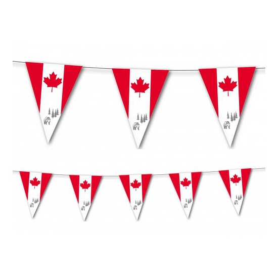 Canada vlaggetjes 3,5 m