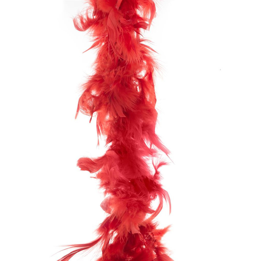 Carnaval verkleed veren Boa kleur rood 2 meter