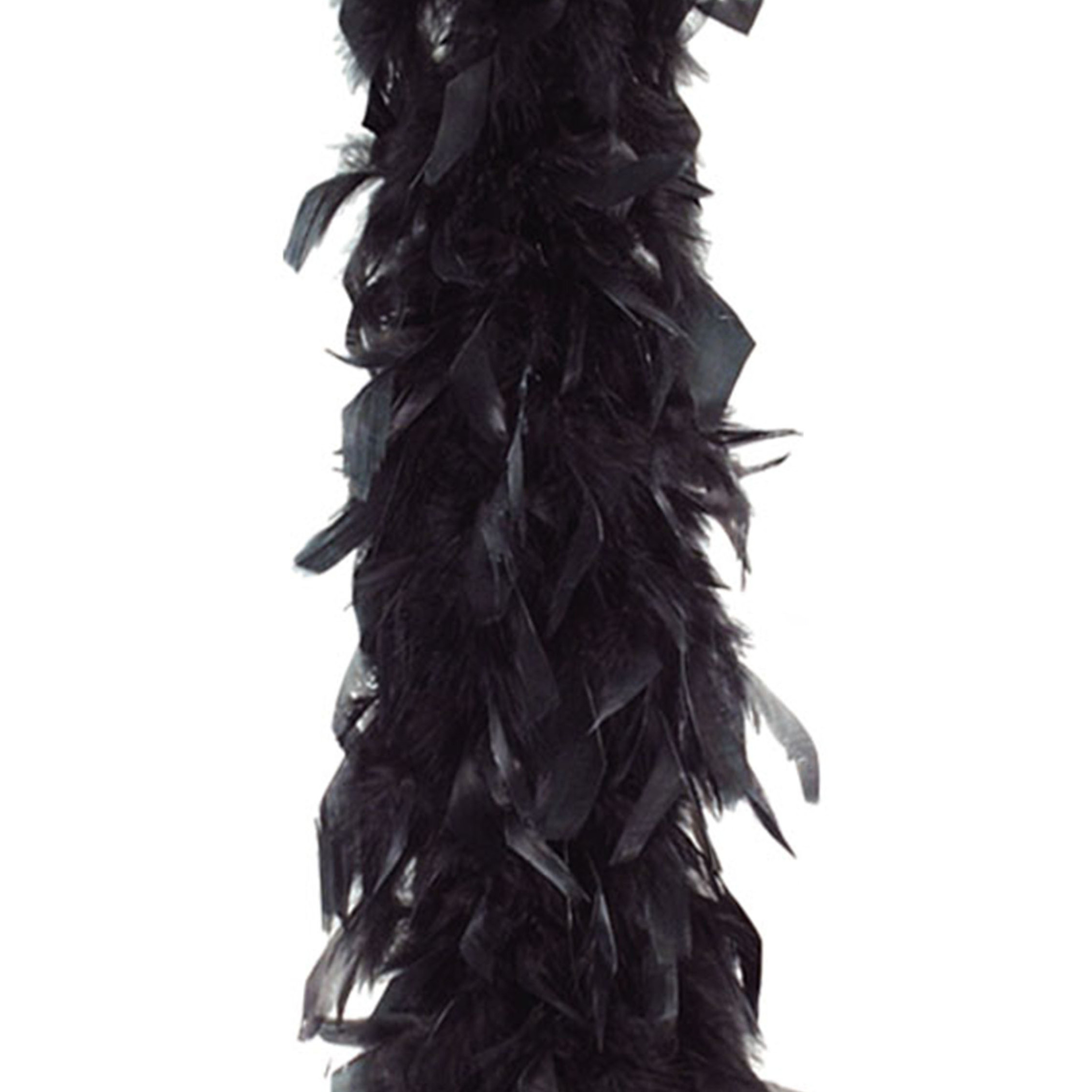 Carnaval verkleed veren Boa kleur zwart 180 cm
