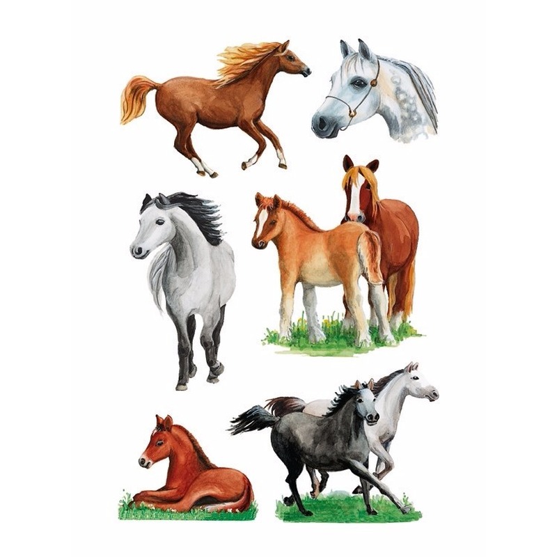 Decoratie paarden stickers 3x