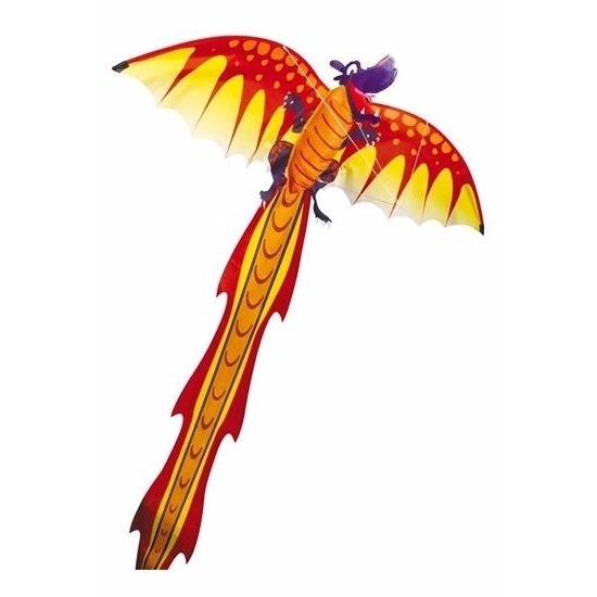 Gekleurde 3D vlieger voor kinderen draak