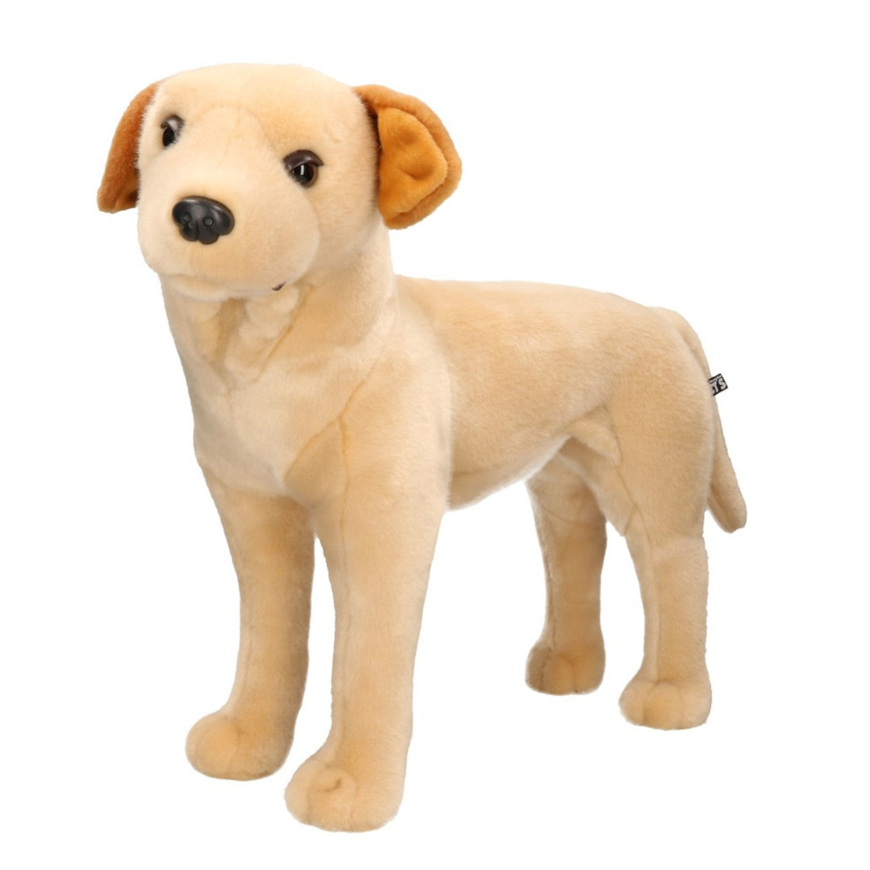 Honden speelgoed artikelen Labrador knuffelbeest blond 53 cm