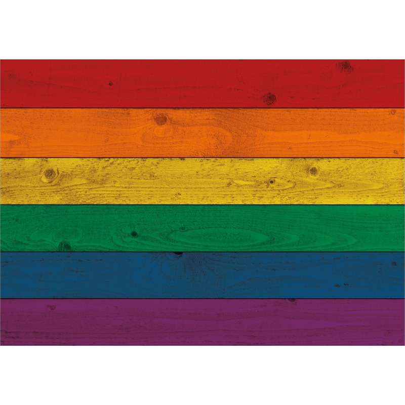 Horizontale vlag poster regenboog 84 cm