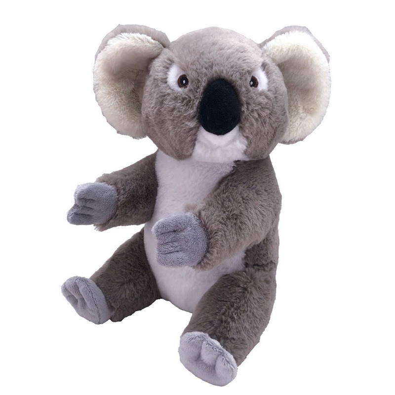 Knuffel koala beer grijs 30 cm knuffels kopen