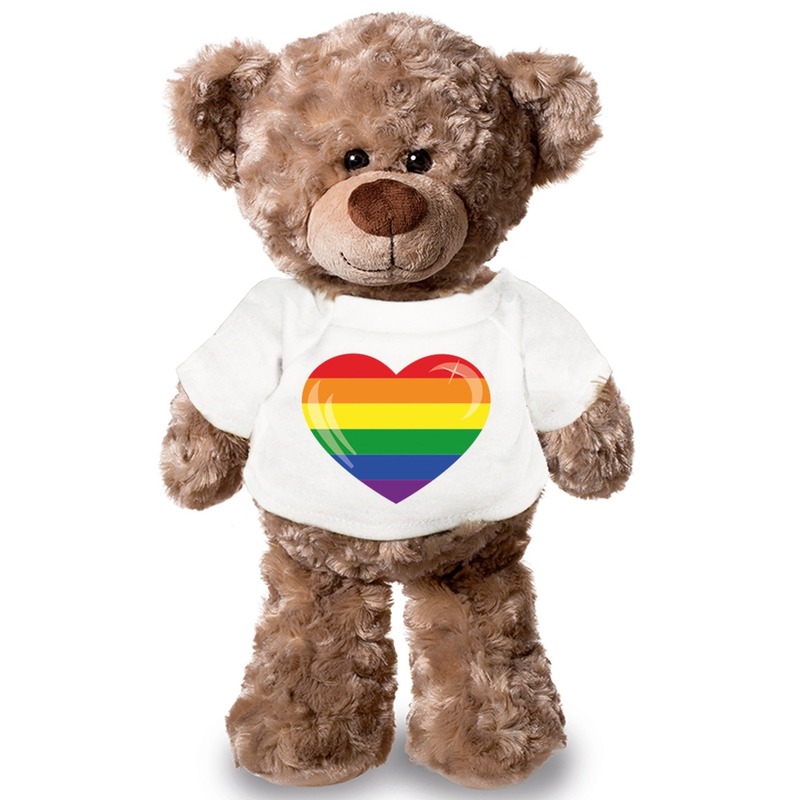 Knuffel teddybeer met Gaypride vlag hart t-shirt 24 cm