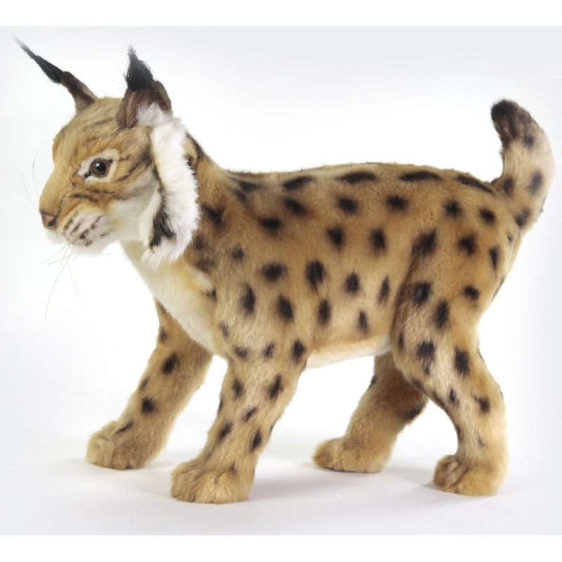 Levensechte Hansa pluche knuffel lynx bruin 35 cm