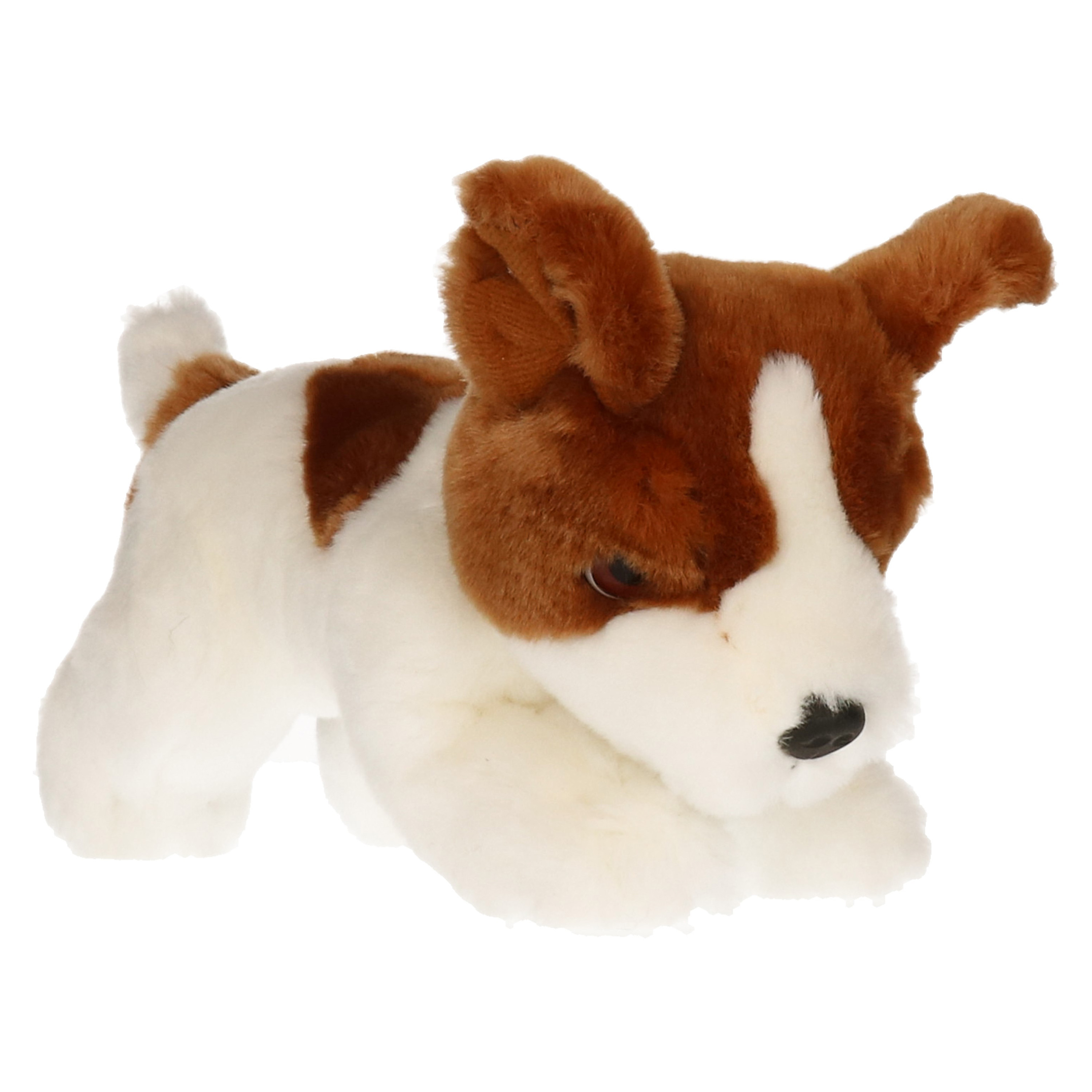 Pluche creme-bruine Jack Russel puppy honden knuffel 25 cm
