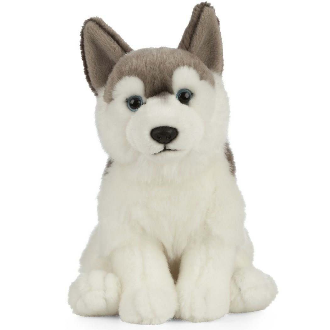 Pluche grijs-witte Husky hond-honden knuffel 25 cm speelgoed