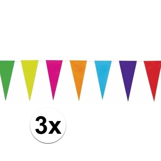 Regenboog vlaggenlijnen 10 meter