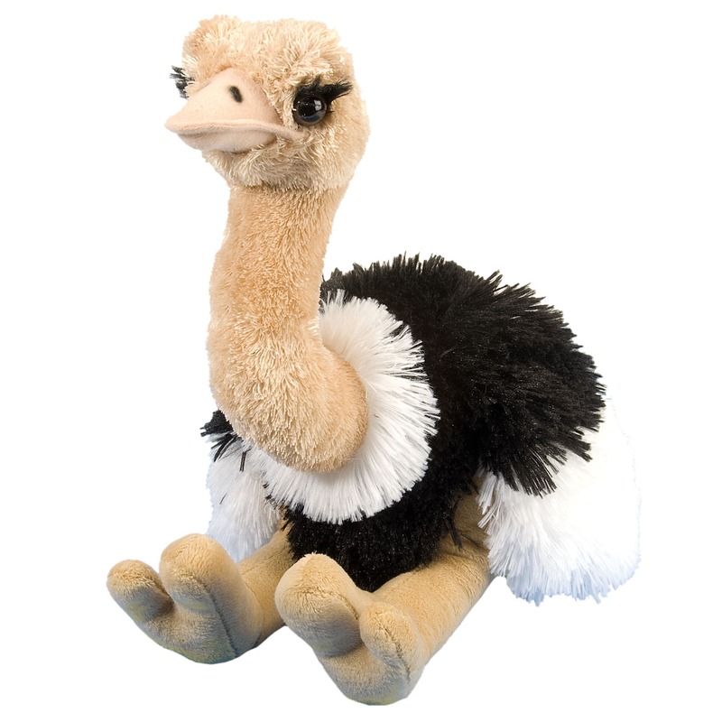 Struisvogels speelgoed artikelen struisvogel knuffelbeest gekleurd 35 cm