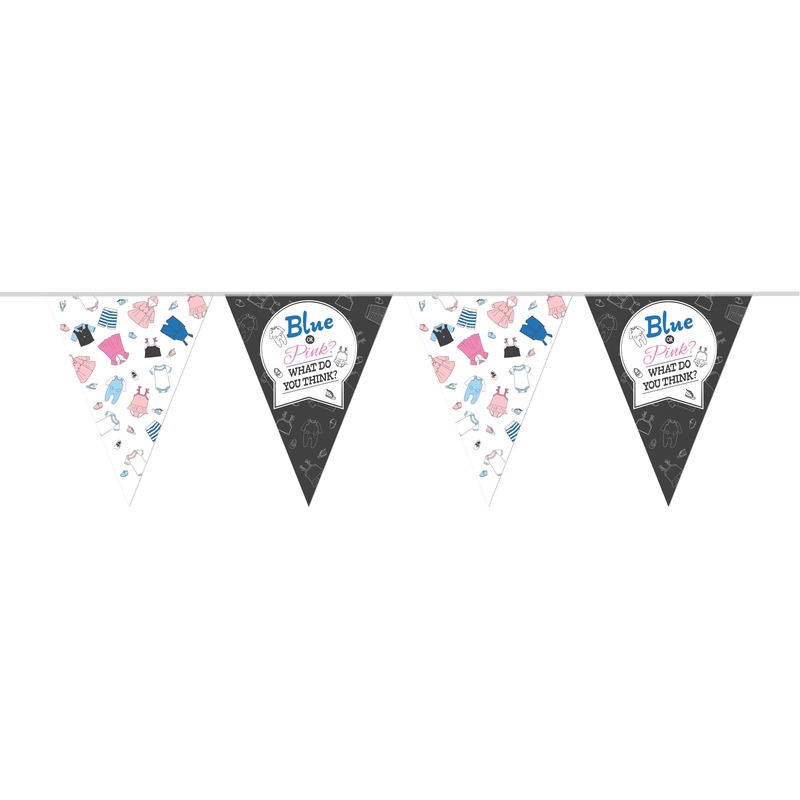 Vlaggenlijn gender reveal party-feest slinger 10 meter
