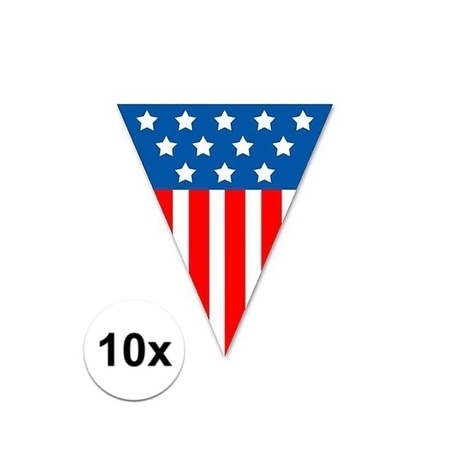 10x USA bunting 5 meter