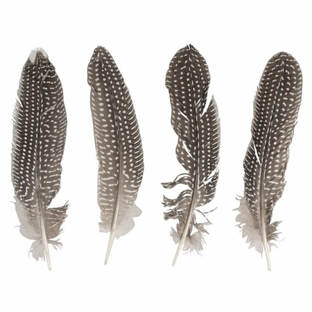 12 pieces Pheasant feathers