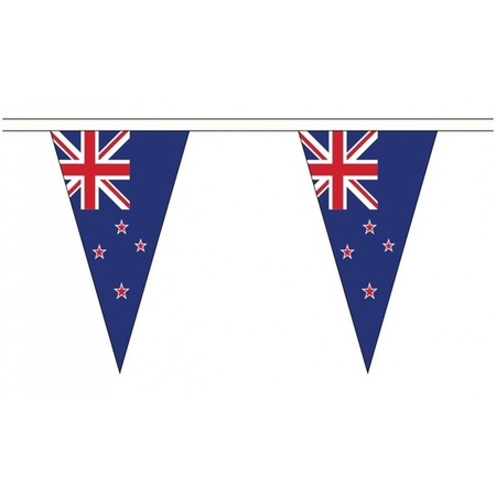 New Zealand bunting flags 5 meters