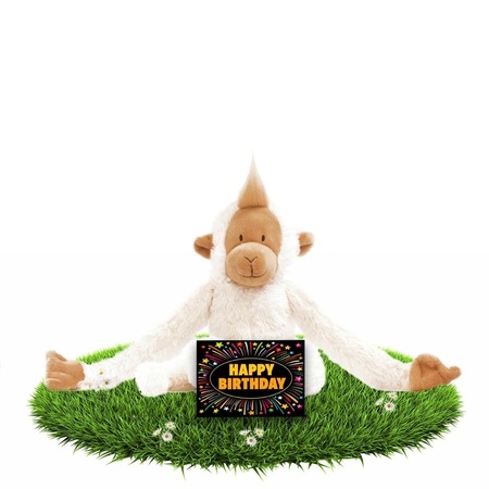 Plush monkey white 23 cm with birthday card